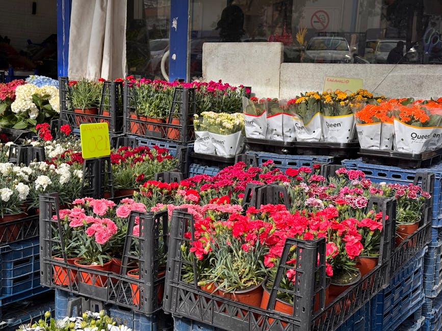 Outdoor display of various potted flowering plants arranged in black plastic crates outside a flower shop. The arrangement includes pink, red, white, yellow, and orange blooms, each in small terracott