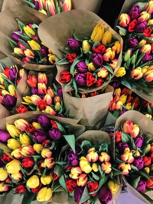 A vibrant collection of tulip bouquets featuring yellow, purple, red, and pink blooms, arranged with green leaves and wrapped in natural brown paper. The flowers are freshly cut, with smooth, delicate